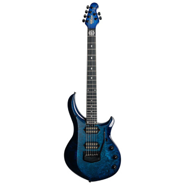 Özel / Sınırlı Üretim Gitarlar